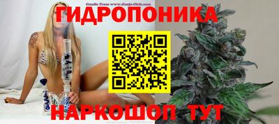 прущие грибы Гусев