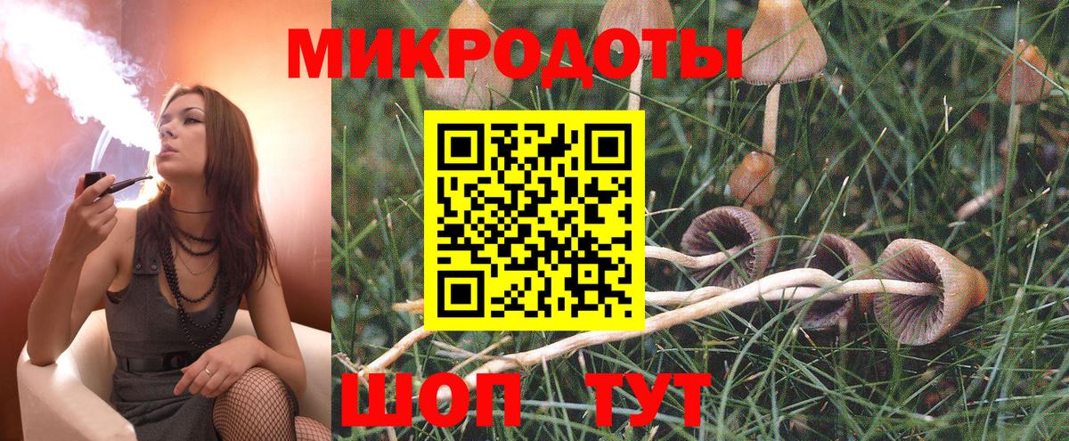 Псилоцибиновые грибы Psilocybine cubensis  Вход с VPN  Нерюнгри 