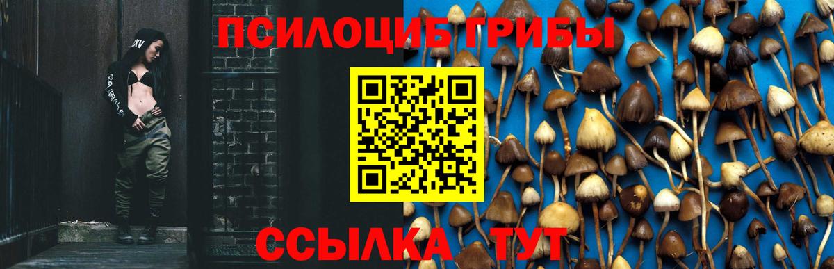 Псилоцибиновые грибы Magic Shrooms Нерюнгри